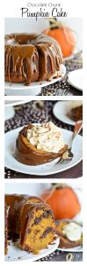 Chocolate Chunk Pumpkin Cake | Garnish and Glaze