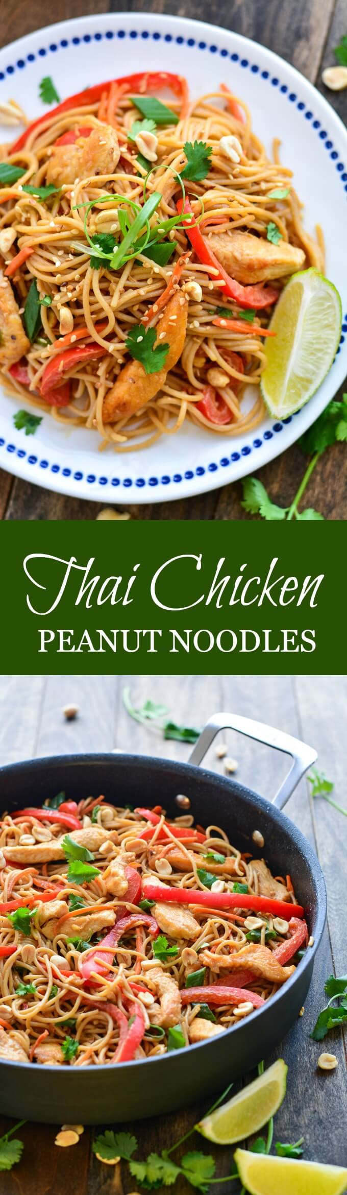 THAI CHICKEN PEANUT NOODLES are made up of whole wheat noodles, lean meat, veggies, and peanut sauce. An easy, healthy meal the family will love!