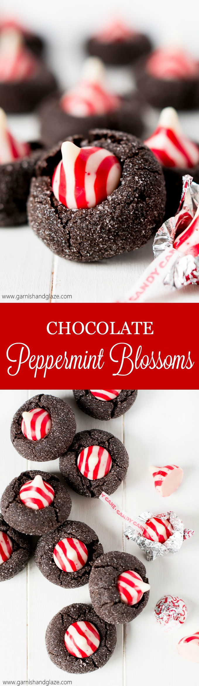 With a soft dark chocolate cookie base and peppermint kiss, these Chocolate Peppermint Blossoms will be the most beautiful cookie on your Christmas plate!