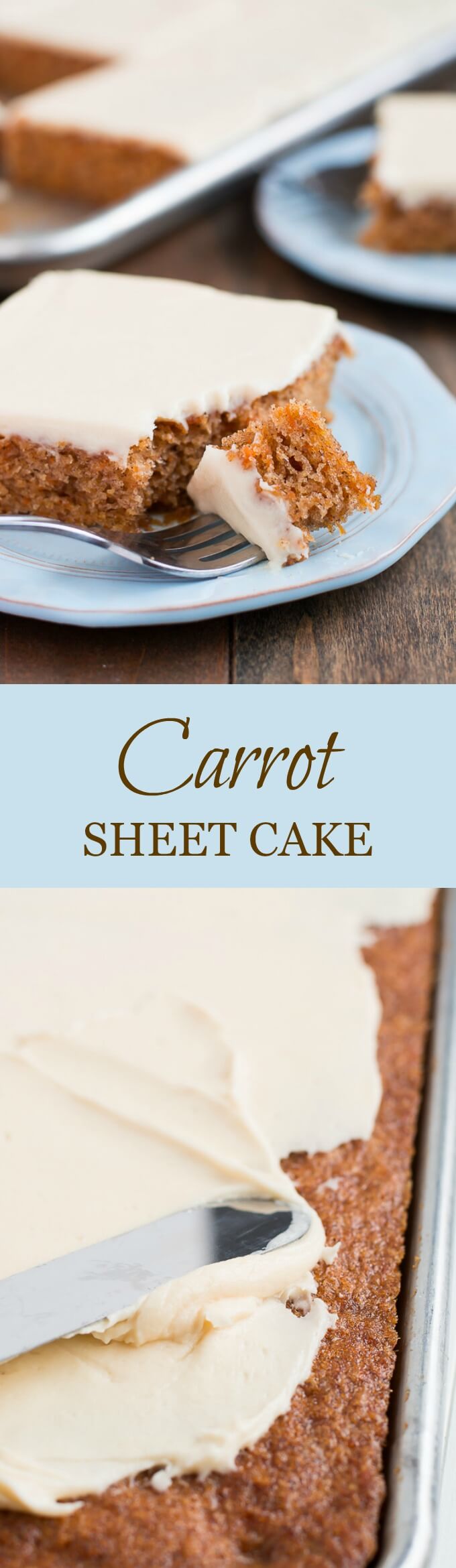 Feed a crowd with this super simple and moist Carrot Sheet Cake that will have your guests talking about how good it was for days.