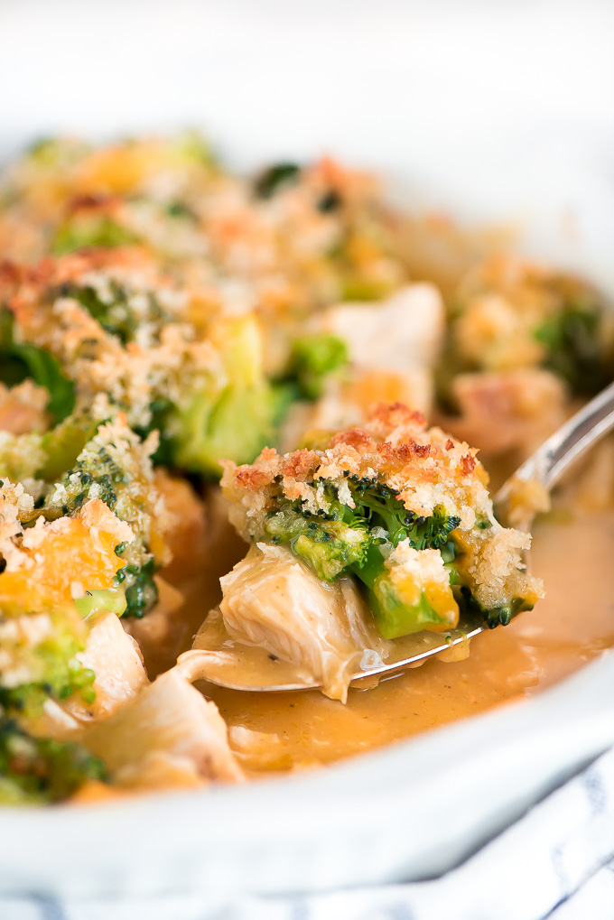 Close up of a spoonful of chicken and broccoli casserole topped with crispy breadcrumbs.