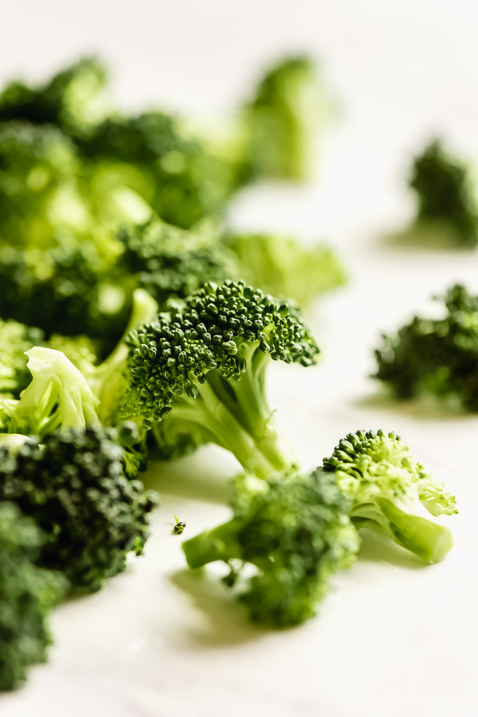 Close up shot of a floret of raw broccoli
