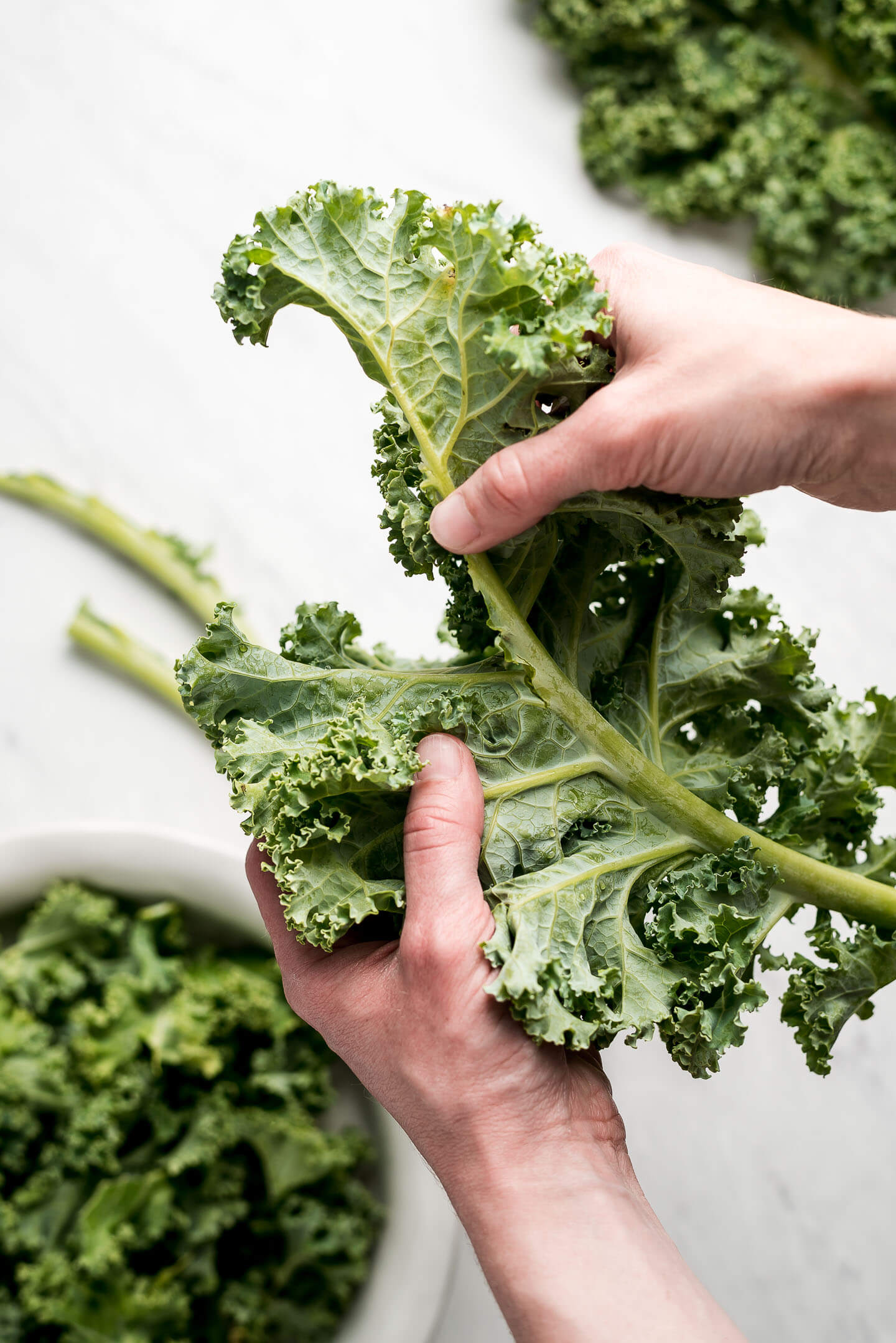 Hands holding a kale leaf and tearing the leafy part off the hard rib.