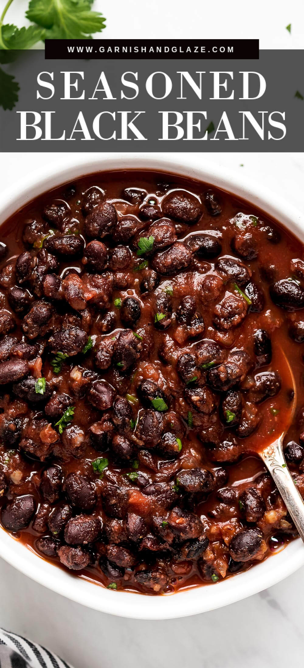 Seasoned Black Beans Garnish Glaze