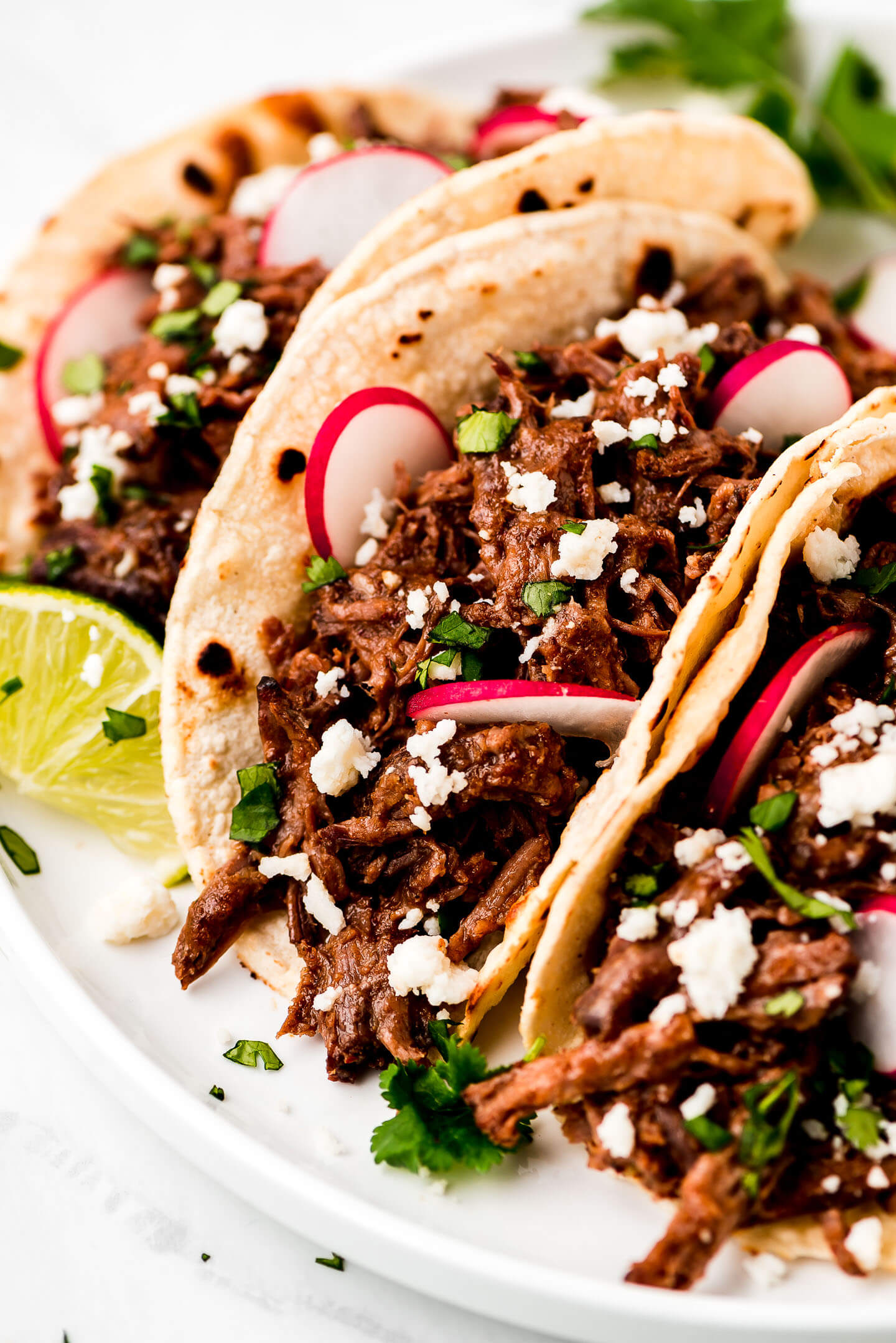 Beef Barbacoa in corn tortillas garnished with cilantro, sliced radishes, and queso fresco.