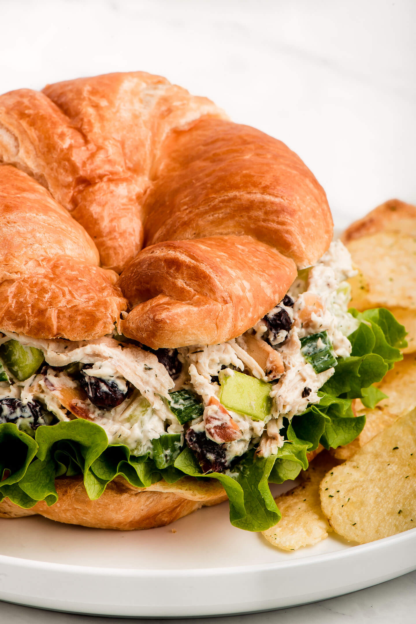 Angle view of a sandwich with a mix of shredded chicken, apples, almonds, green onion, and grapes.